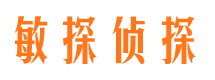 蔡甸市私家侦探